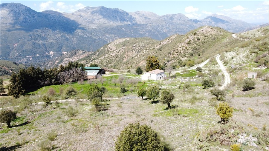 Casa de campo-Masía en Venta en Benalauria Málaga - foto 5