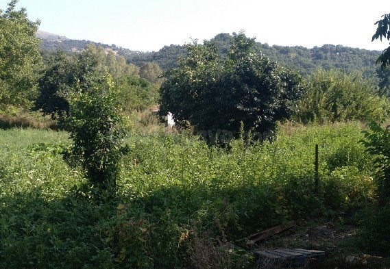 Casa de campo-Masía en Venta en Cortes De La Frontera Málaga - foto 4