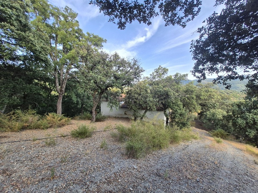 Casa de campo-Masía en Venta en Farajan Málaga - foto 4
