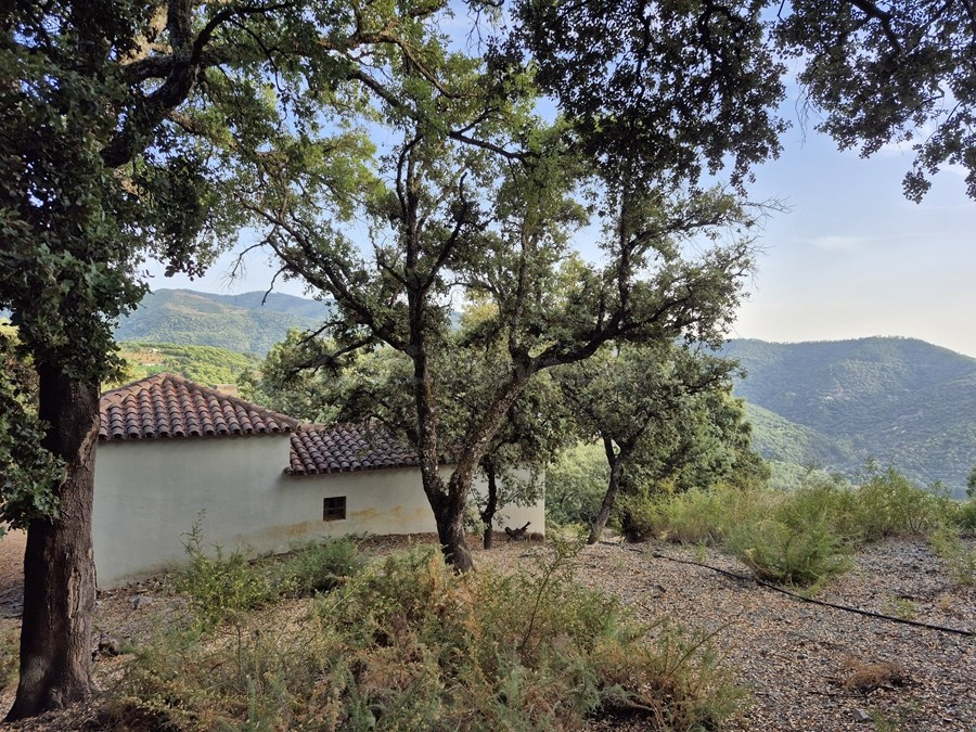 Casa de campo-Masía en Venta en Farajan Málaga - foto 5