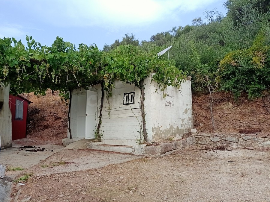 Casa de campo-Masía en Venta en Cortes De La Frontera Málaga - foto 5
