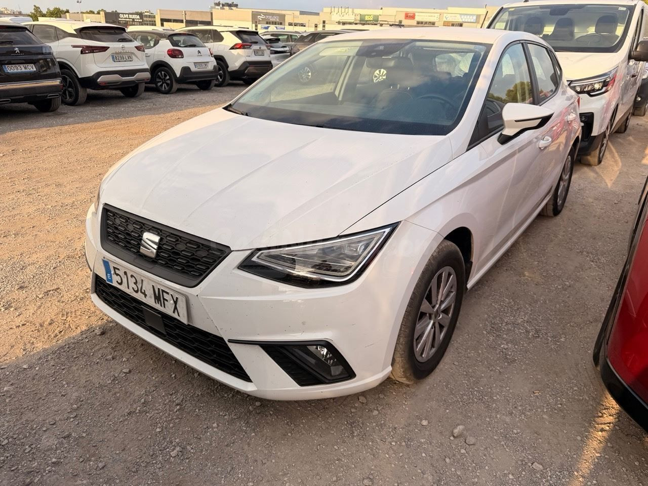 Seat Ibiza 1.0 Tgi 66kw (90cv) Style Xm