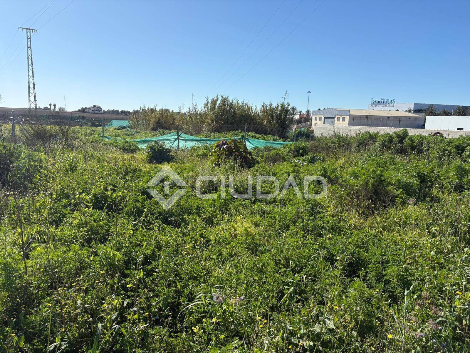 Parcela rústica en Cam. Cortijillo (Frente a Las Dunas) - foto 4