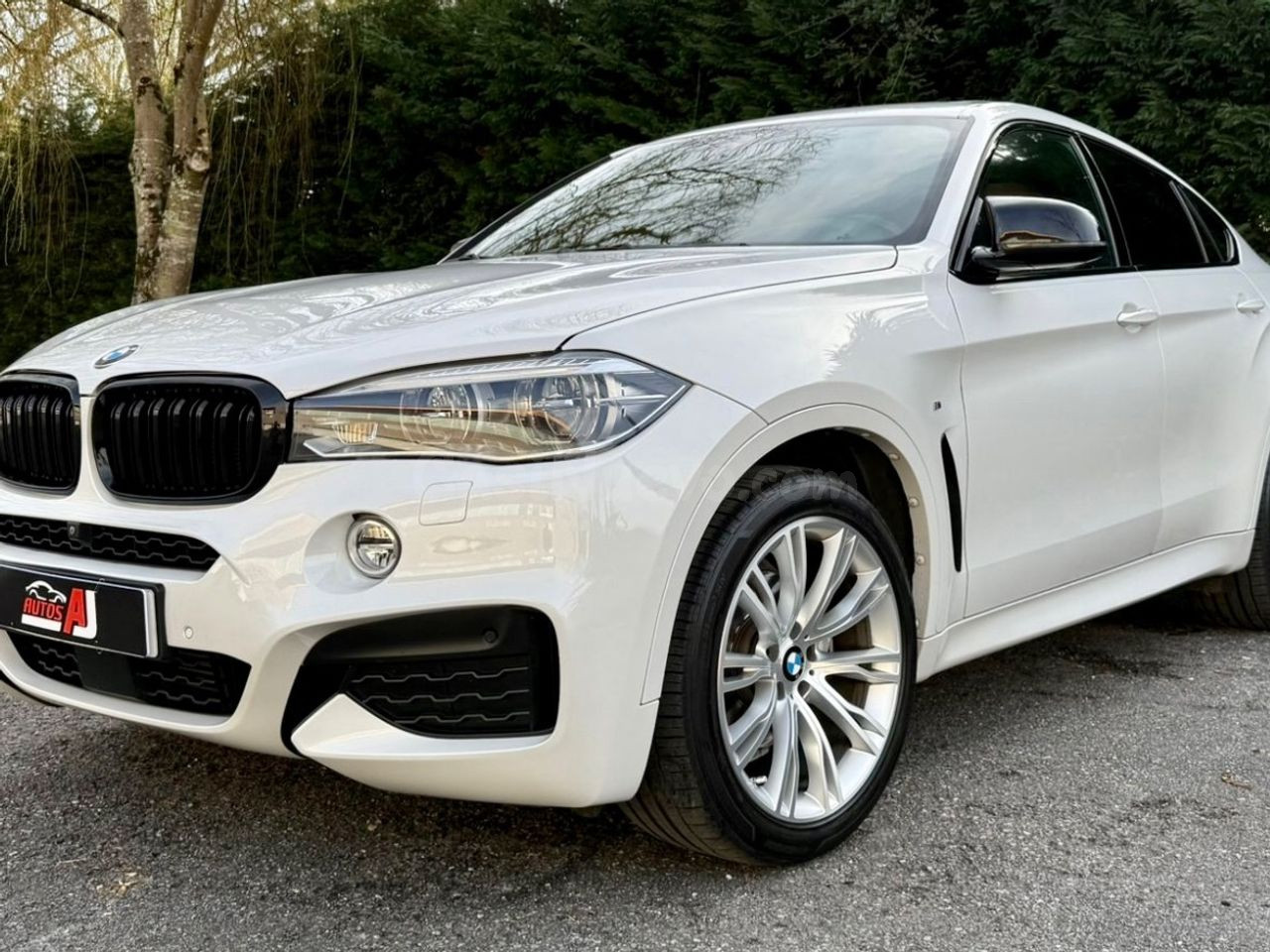 BMW X6 xDrive30d Monforte de Lemos - Ocasión premium con gar
