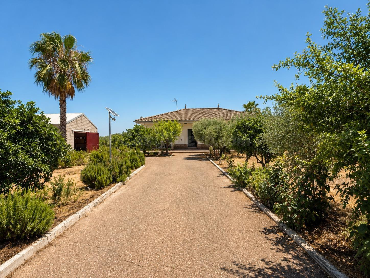 D.  FINCA RÚSTICA CON VIVIENDA, PISCINA Y ZONA DE OCIO EN LO - foto 14