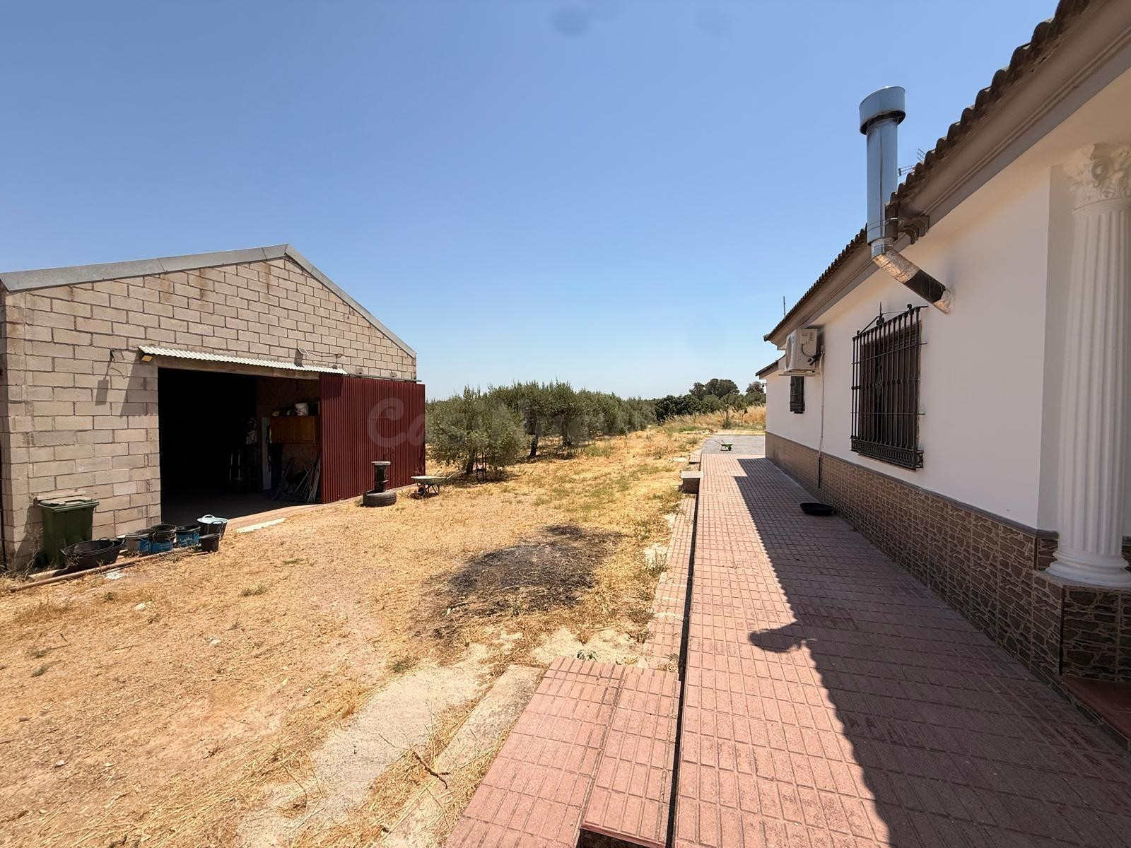 D.  FINCA RÚSTICA CON VIVIENDA, PISCINA Y ZONA DE OCIO EN LO - foto 15