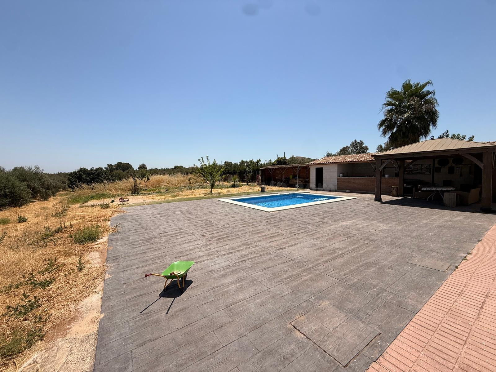 D.  FINCA RÚSTICA CON VIVIENDA, PISCINA Y ZONA DE OCIO EN LO - foto 18