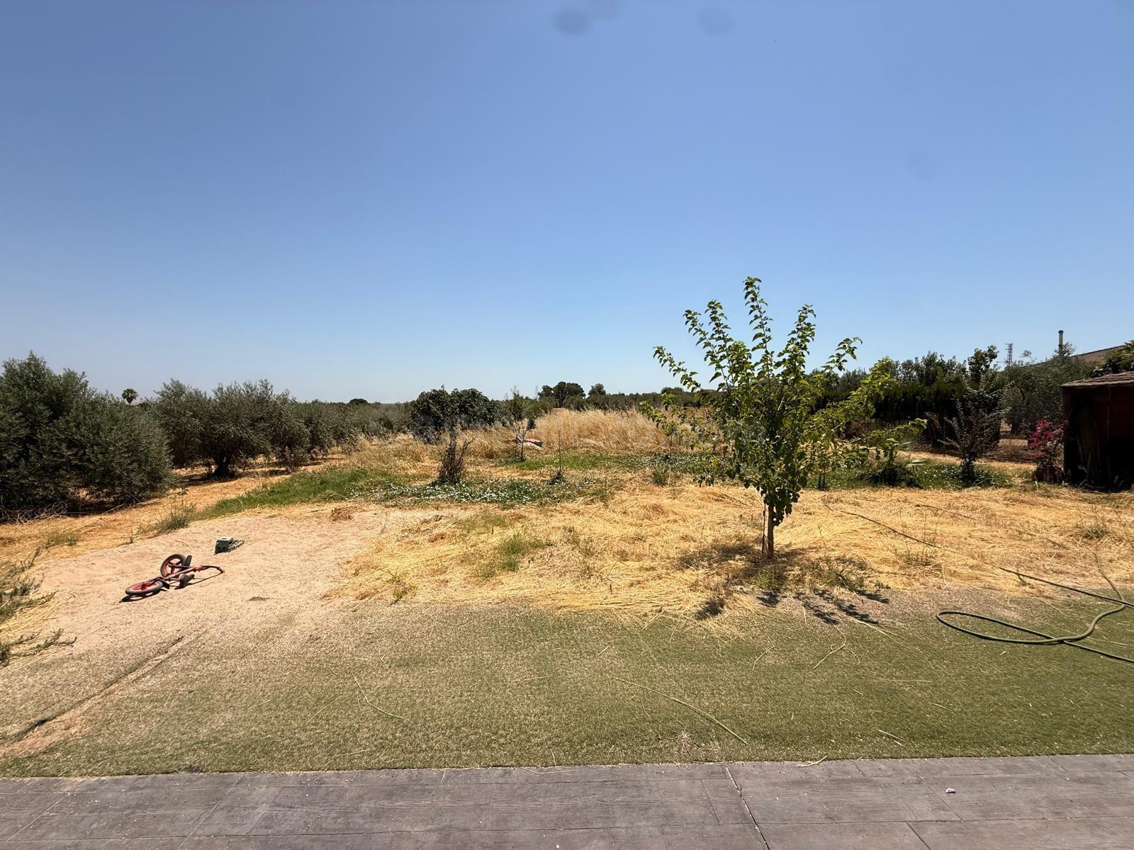 D.  FINCA RÚSTICA CON VIVIENDA, PISCINA Y ZONA DE OCIO EN LO - foto 19