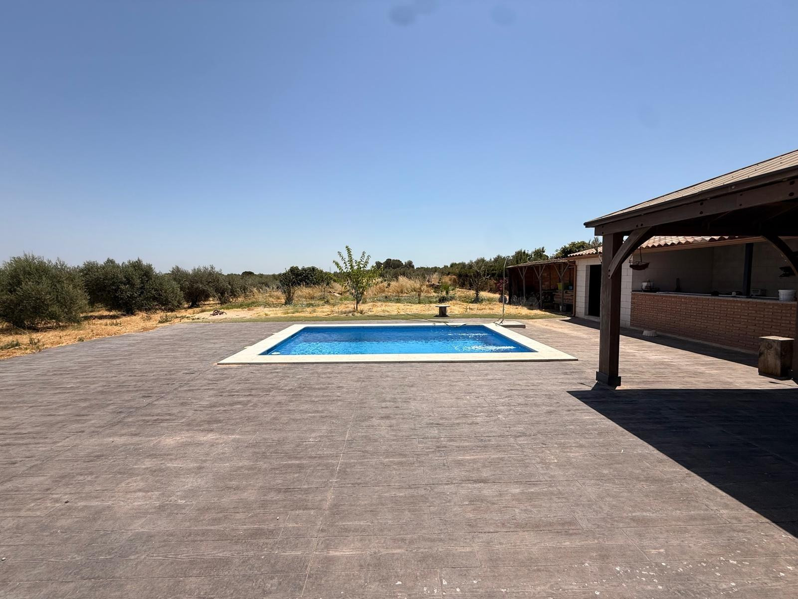 D.  FINCA RÚSTICA CON VIVIENDA, PISCINA Y ZONA DE OCIO EN LO - foto 23