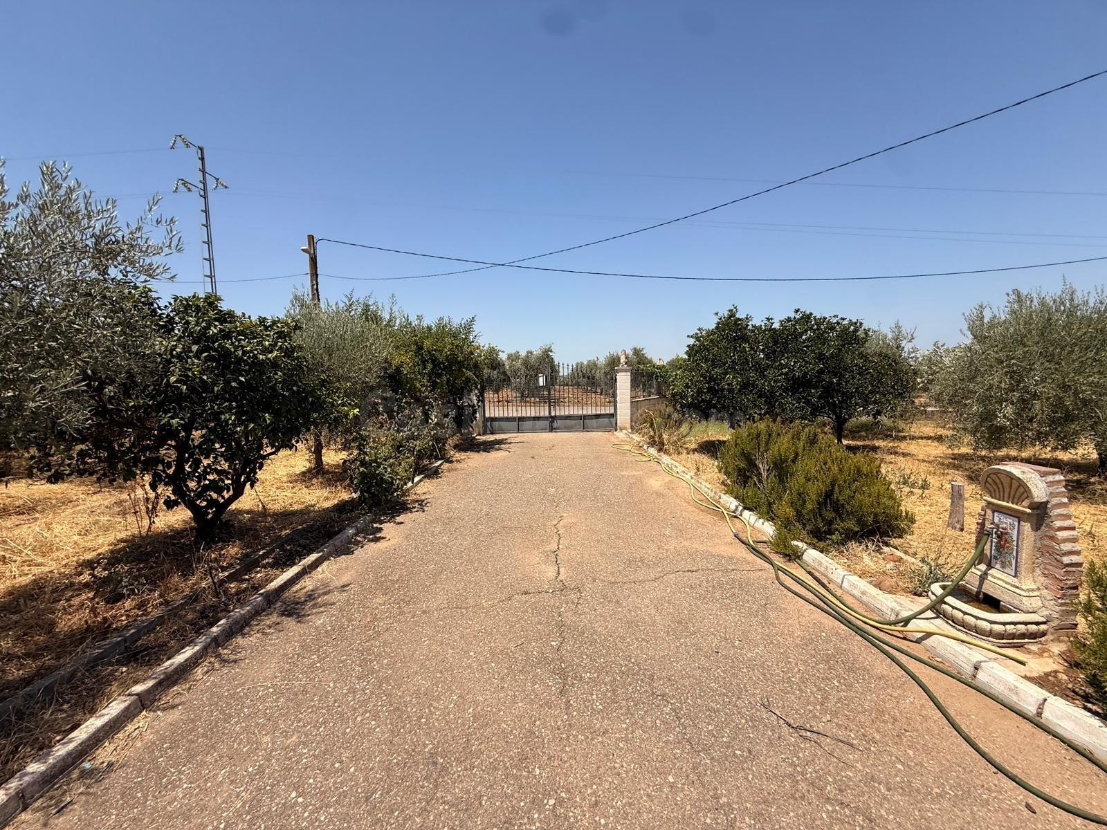 D.  FINCA RÚSTICA CON VIVIENDA, PISCINA Y ZONA DE OCIO EN LO - foto 27