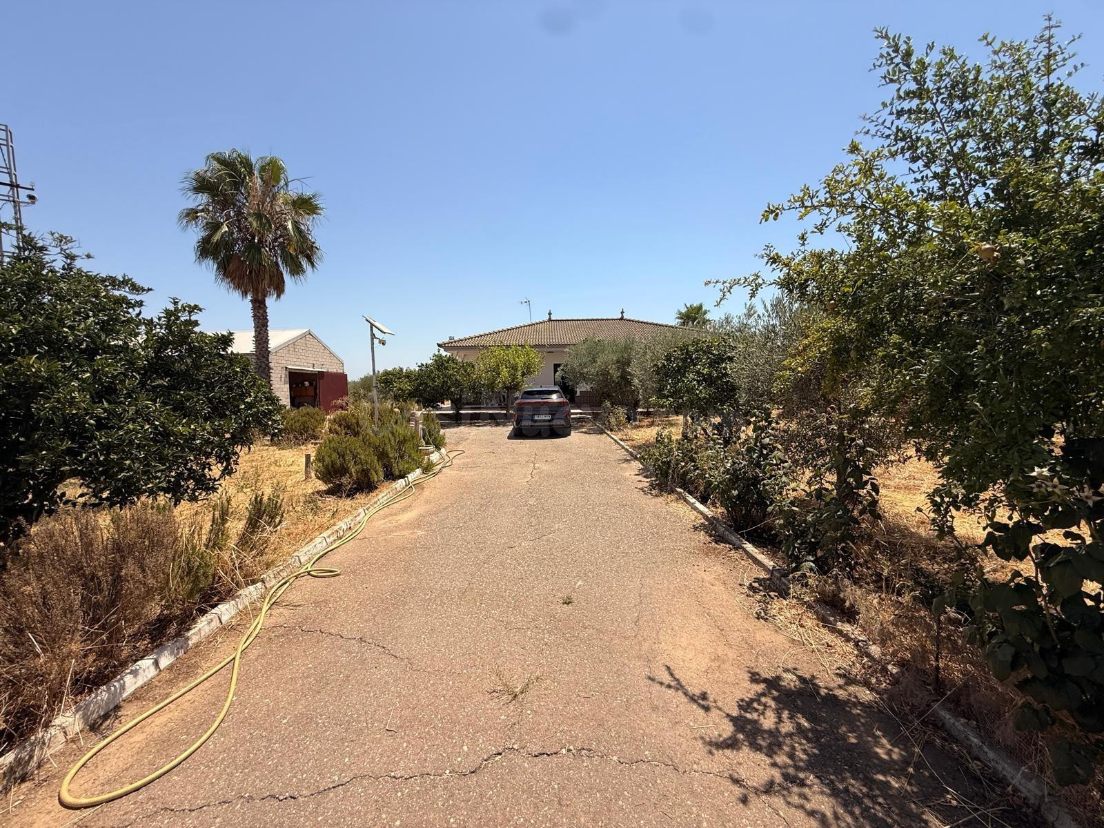 D.  FINCA RÚSTICA CON VIVIENDA, PISCINA Y ZONA DE OCIO EN LO - foto 28