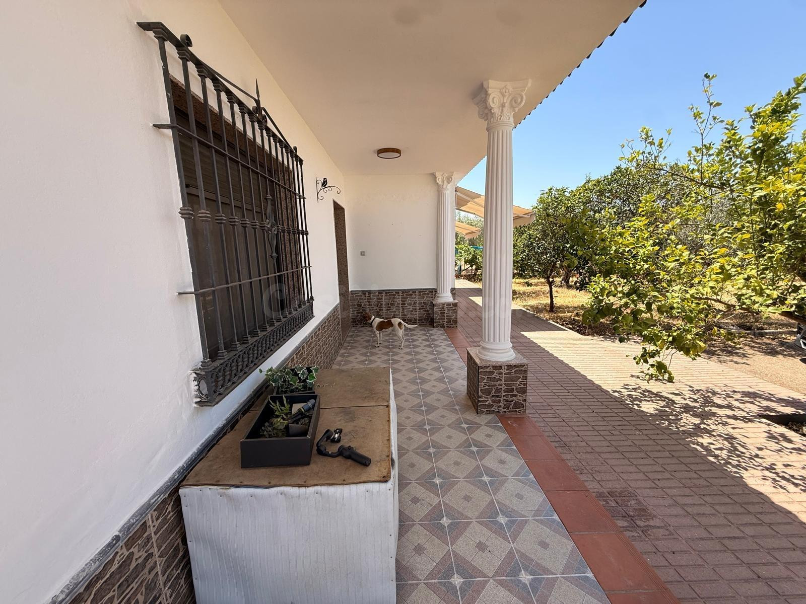 D.  FINCA RÚSTICA CON VIVIENDA, PISCINA Y ZONA DE OCIO EN LO - foto 30