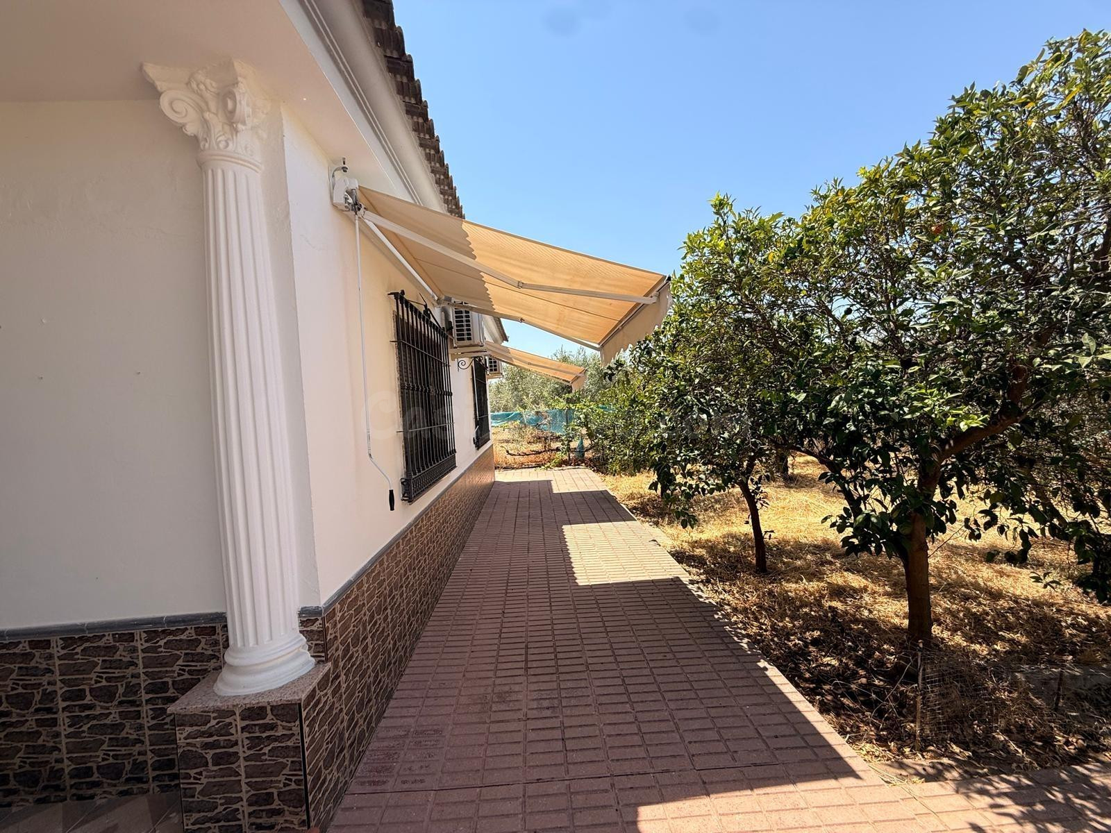 D.  FINCA RÚSTICA CON VIVIENDA, PISCINA Y ZONA DE OCIO EN LO - foto 31