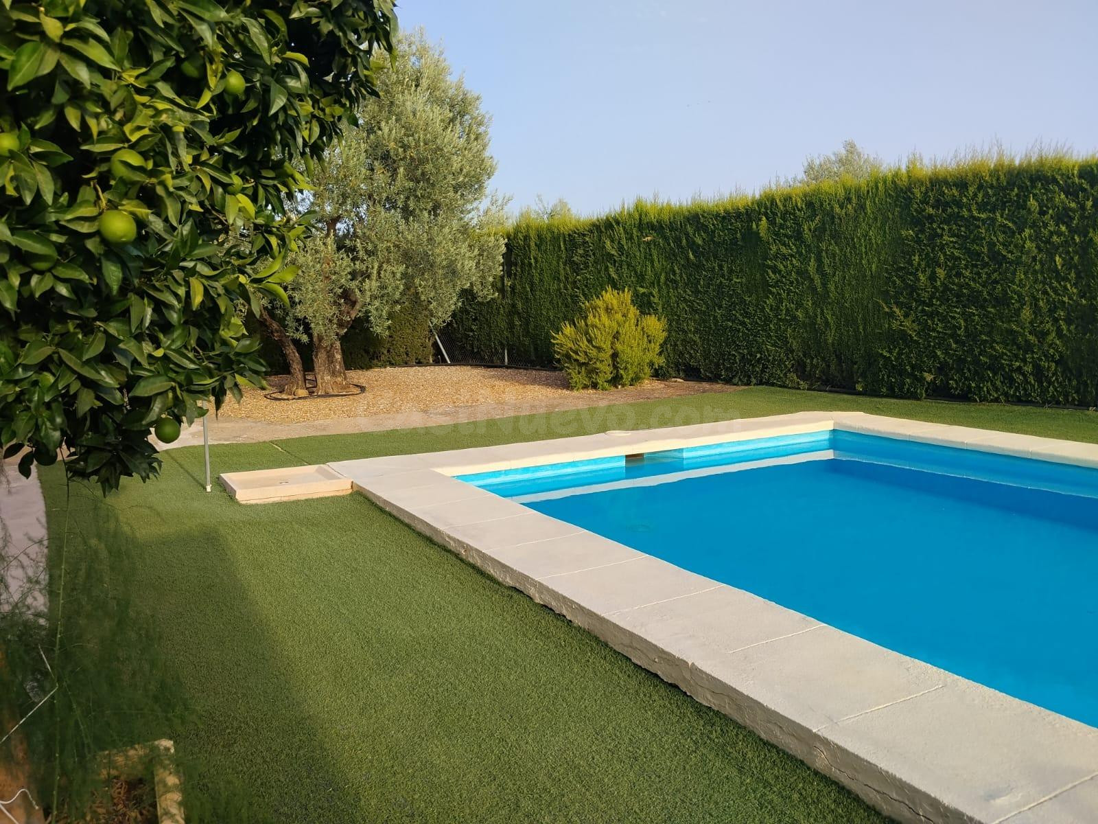 E. Casa Rústica con Olivar de Regadío, Piscina de 29 m2 y Hu - foto 2
