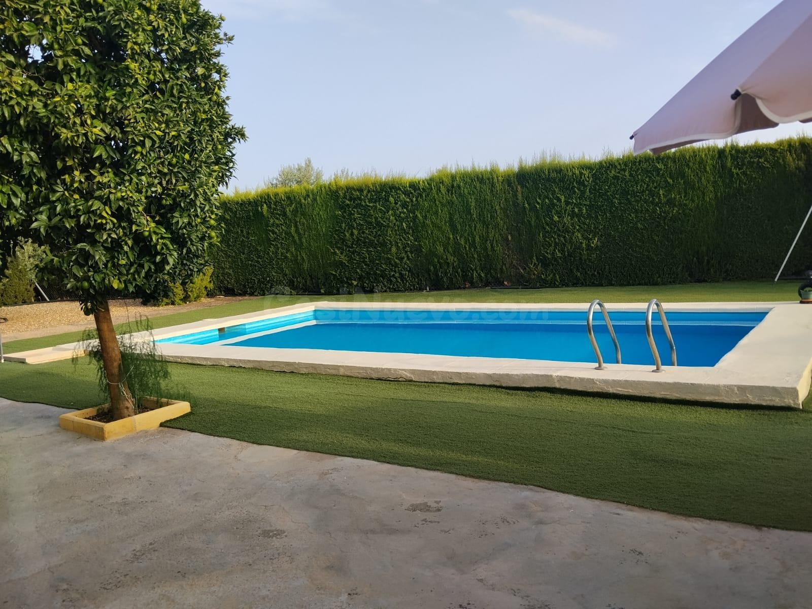 E. Casa Rústica con Olivar de Regadío, Piscina de 29 m2 y Hu - foto 11