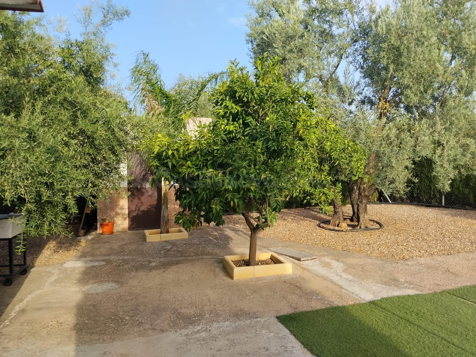 E. Casa Rústica con Olivar de Regadío, Piscina de 29 m2 y Hu - foto 5