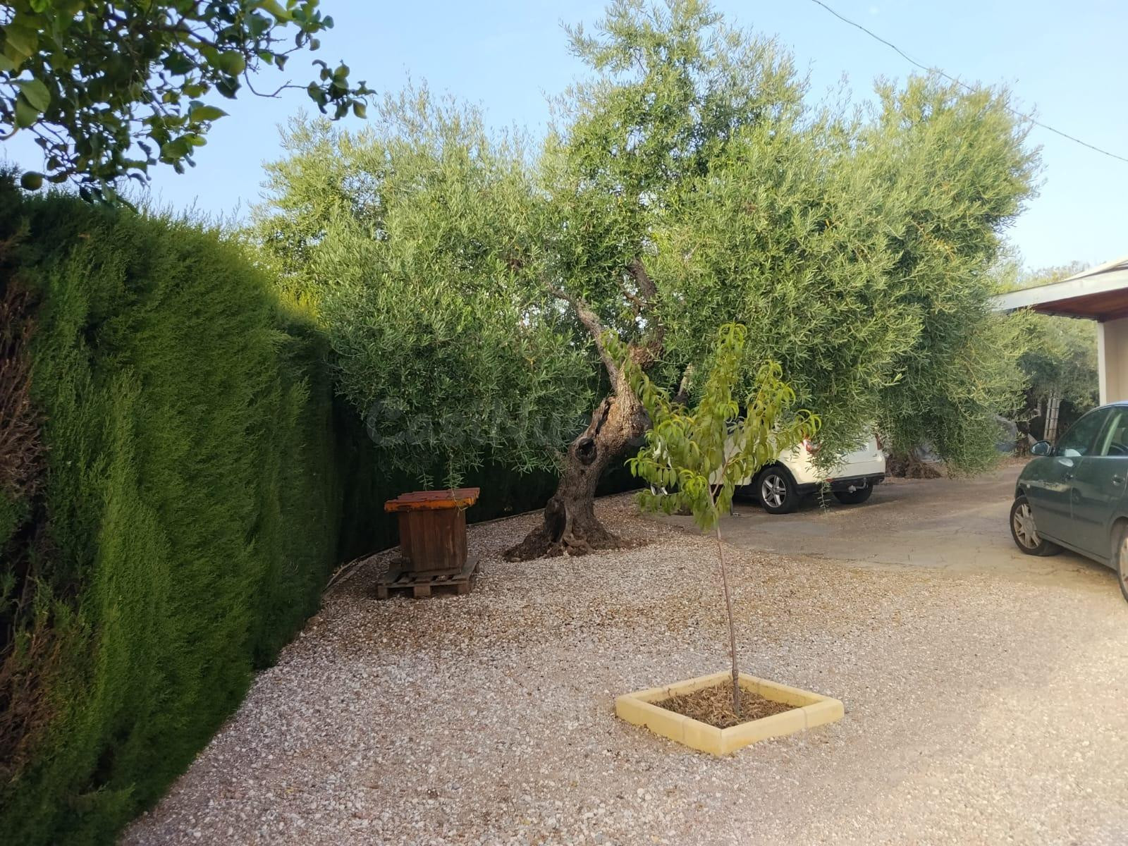 E. Casa Rústica con Olivar de Regadío, Piscina de 29 m2 y Hu - foto 8