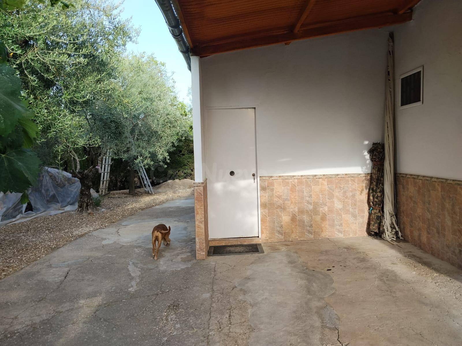 E. Casa Rústica con Olivar de Regadío, Piscina de 29 m2 y Hu - foto 9