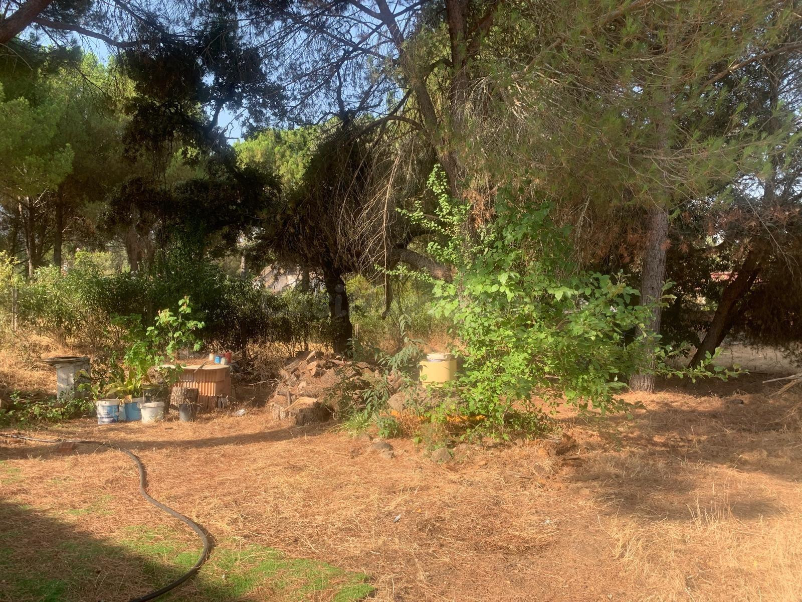 ¡¡CASA CONSERVADA EN CERRO MURIANO!! - foto 13