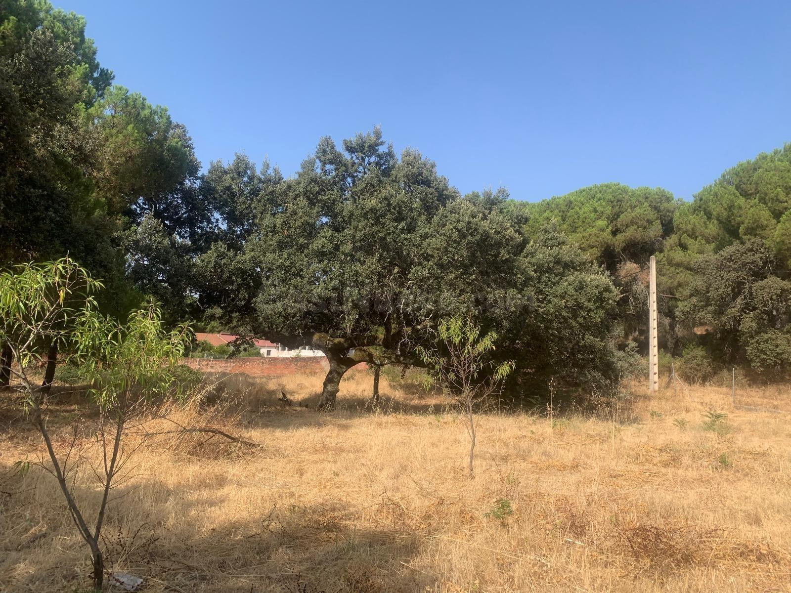 ¡¡CASA CONSERVADA EN CERRO MURIANO!! - foto 15