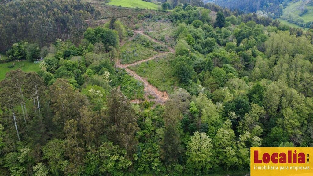 Venta de suelo rústico en el Valle Cabuérniga - foto 2