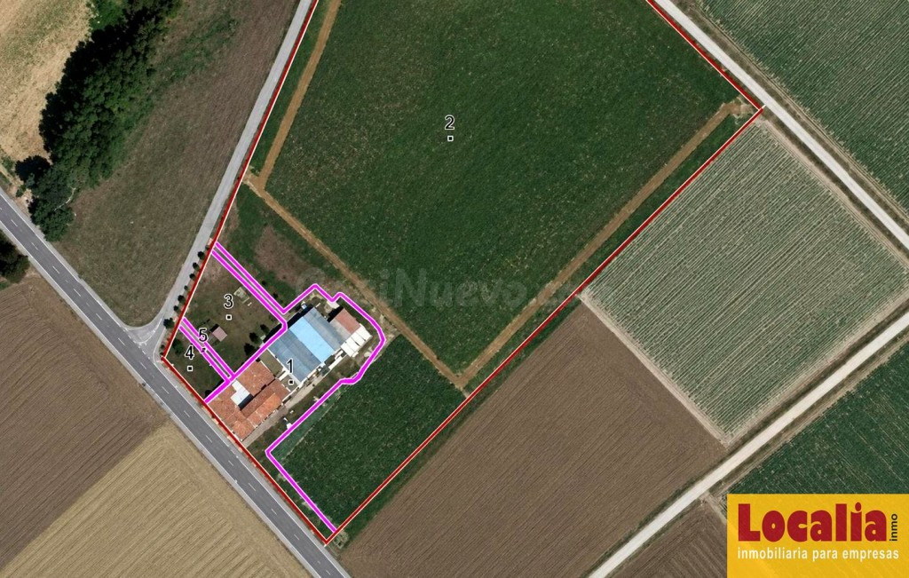 Extenso terreno en Pomar de Valdivia, Palencia