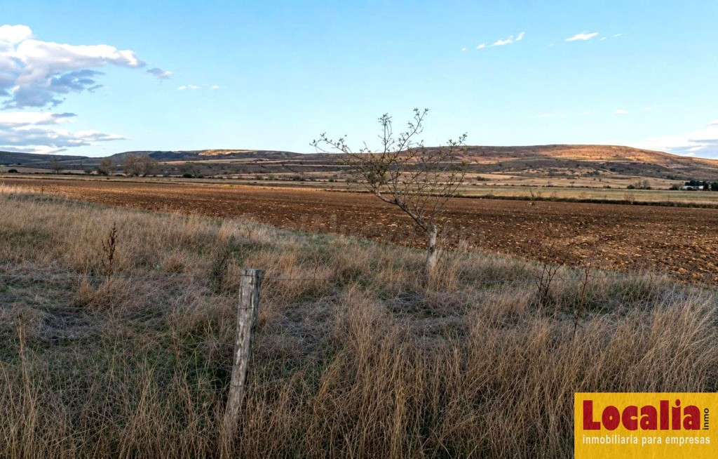Extenso terreno en Pomar de Valdivia, Palencia - foto 3