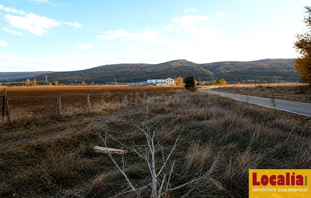 Extenso terreno en Pomar de Valdivia, Palencia - foto 5