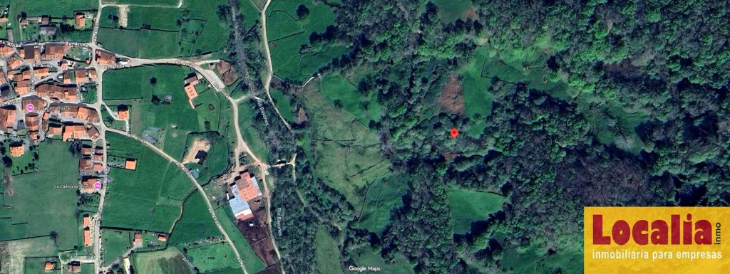 FINCA RÚSTICA CON CABAÑA EN LLAOS (RUENTE) - foto 5