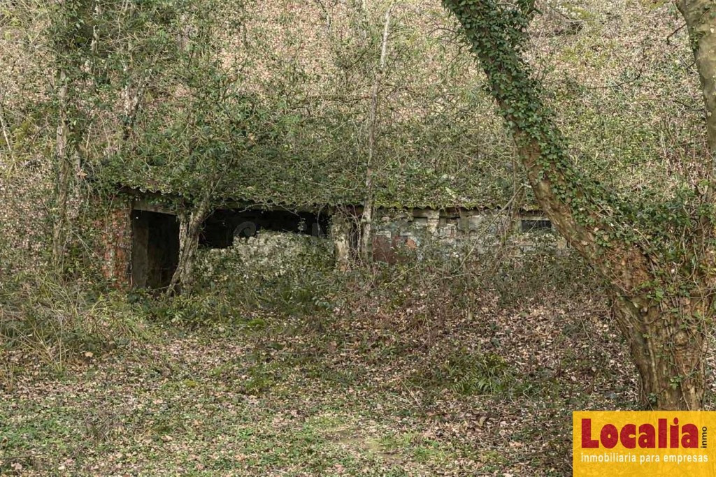 FINCA RÚSTICA CON CABAÑA EN LLAOS (RUENTE) - foto 6