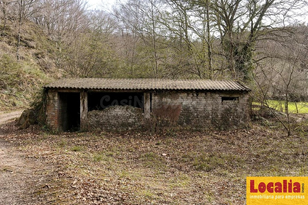 FINCA RÚSTICA CON CABAÑA EN LLAOS (RUENTE) - foto 7