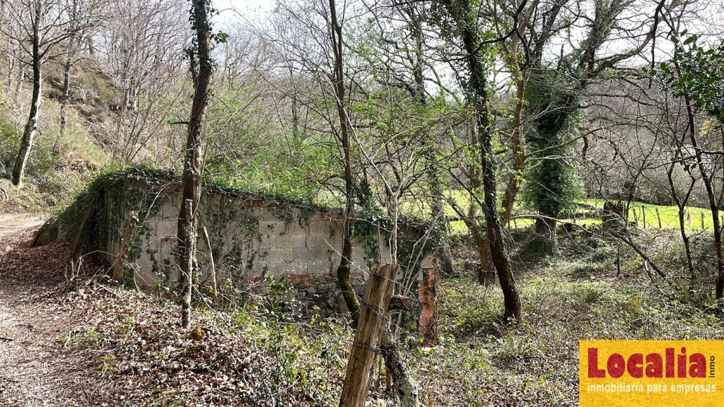 FINCA RÚSTICA CON CABAÑA EN LLAOS (RUENTE) - foto 8
