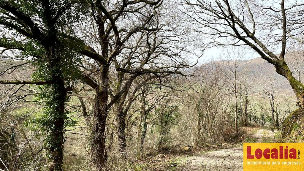 FINCA RÚSTICA CON CABAÑA EN LLAOS (RUENTE) - foto 9