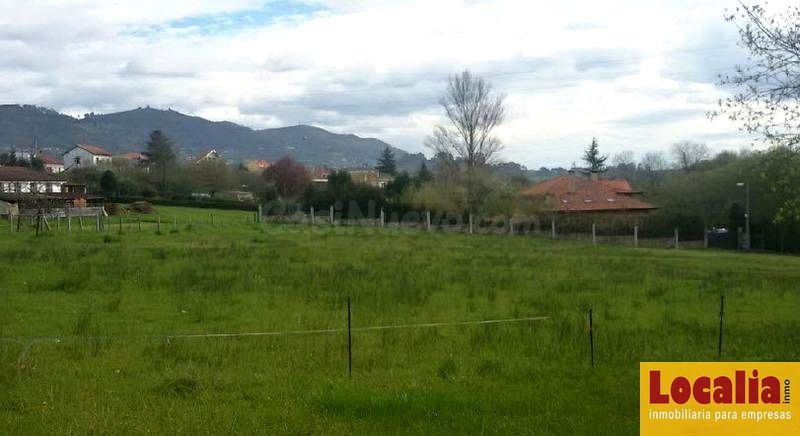 SUELOS URBANIZABLES RESIDENCIAL EN OVIEDO - foto 2