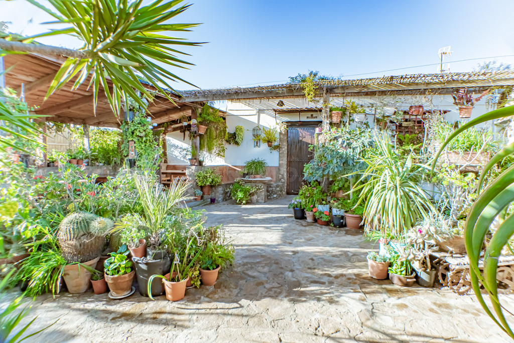 Casa de campo-Masía en Venta en Fernanperez Almería - foto 2