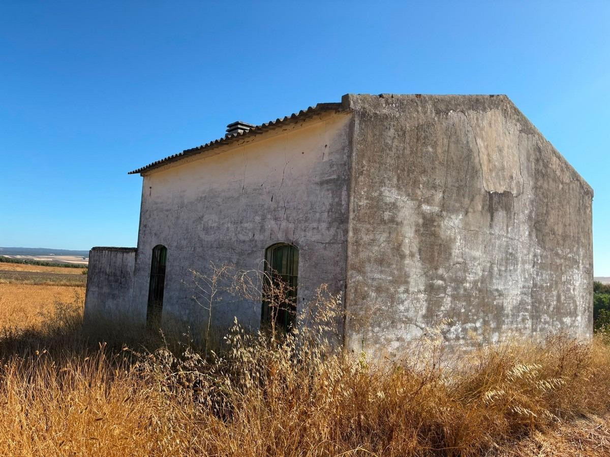 Finca de recreo con agua abundante - foto 2