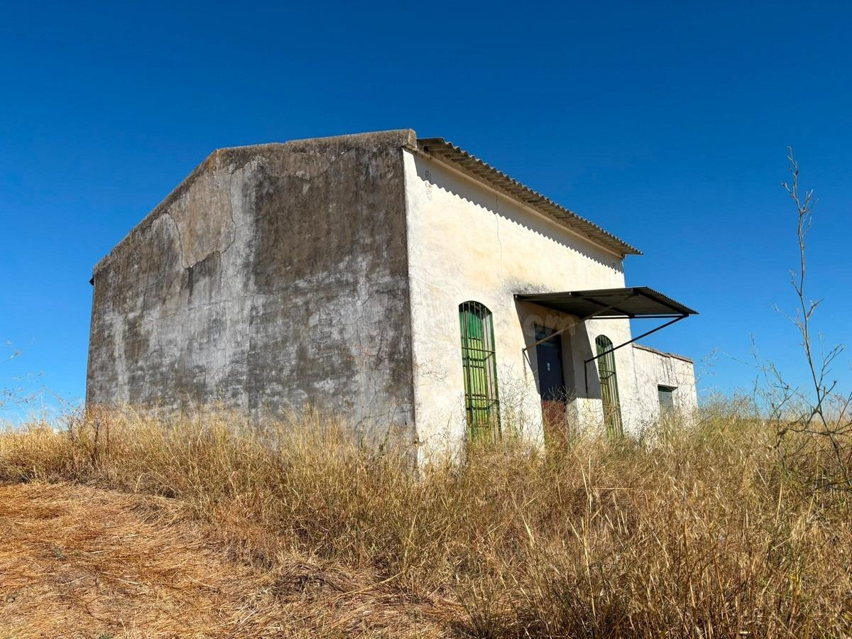 Finca de recreo con agua abundante - foto 4