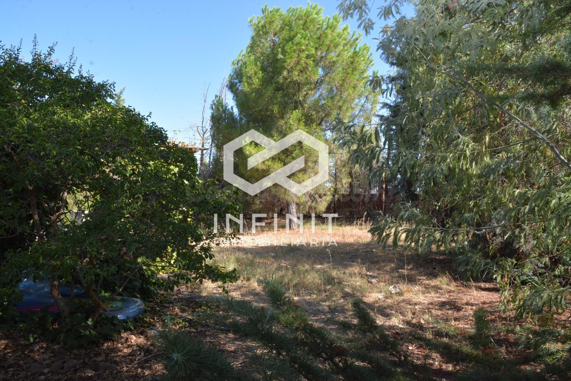 Un lujo diferente: privacidad, naturaleza y piscina sin renu - foto 4