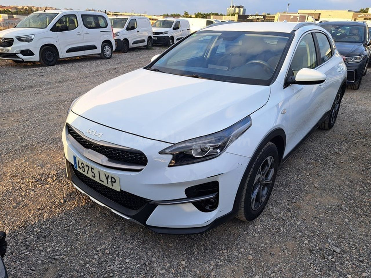 Kia Xceed 1.0 T-gdi Drive 88kw (120cv)