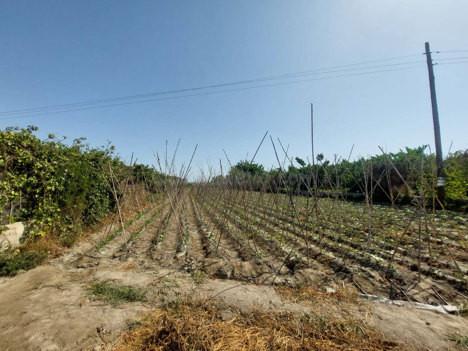 Terreno Rústico en venta - Motril pueblo - foto 2