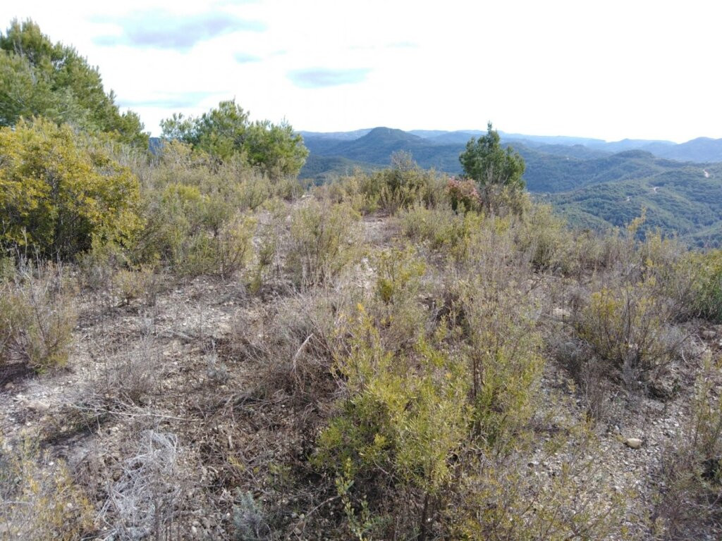 TERRENO EN VENTA EN RIVER PARK (EL PONT DE VILOMARA I ROCAFO - foto 2