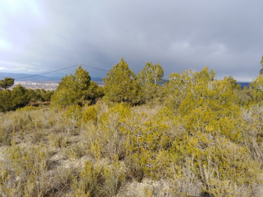 TERRENO EN VENTA EN RIVER PARK (EL PONT DE VILOMARA I ROCAFO - foto 3