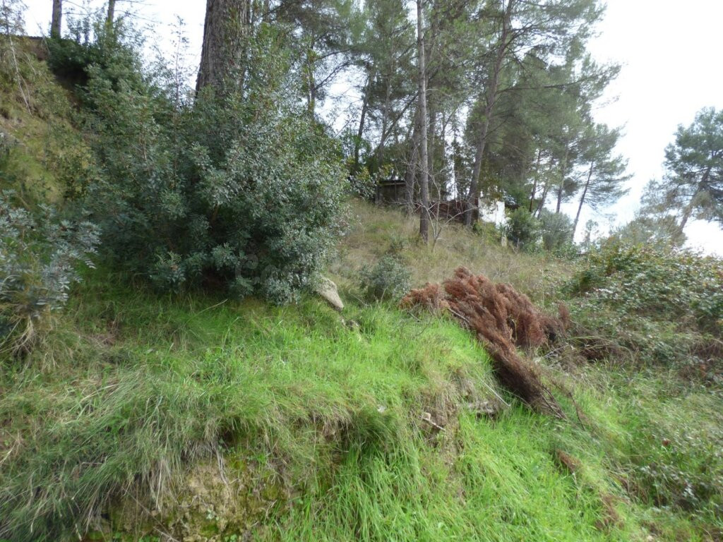 TERRENO URBANIZABLE CON IMPRESIONANTES VISTAS EN CASTELLGALÍ - foto 3