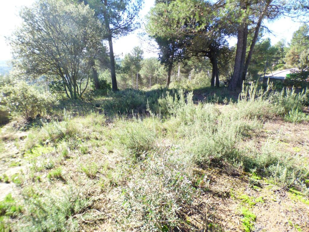 TERRENO URBANO EN CASTELLNOU DE BAGES SEMIPLANO DE 854M2 - foto 5