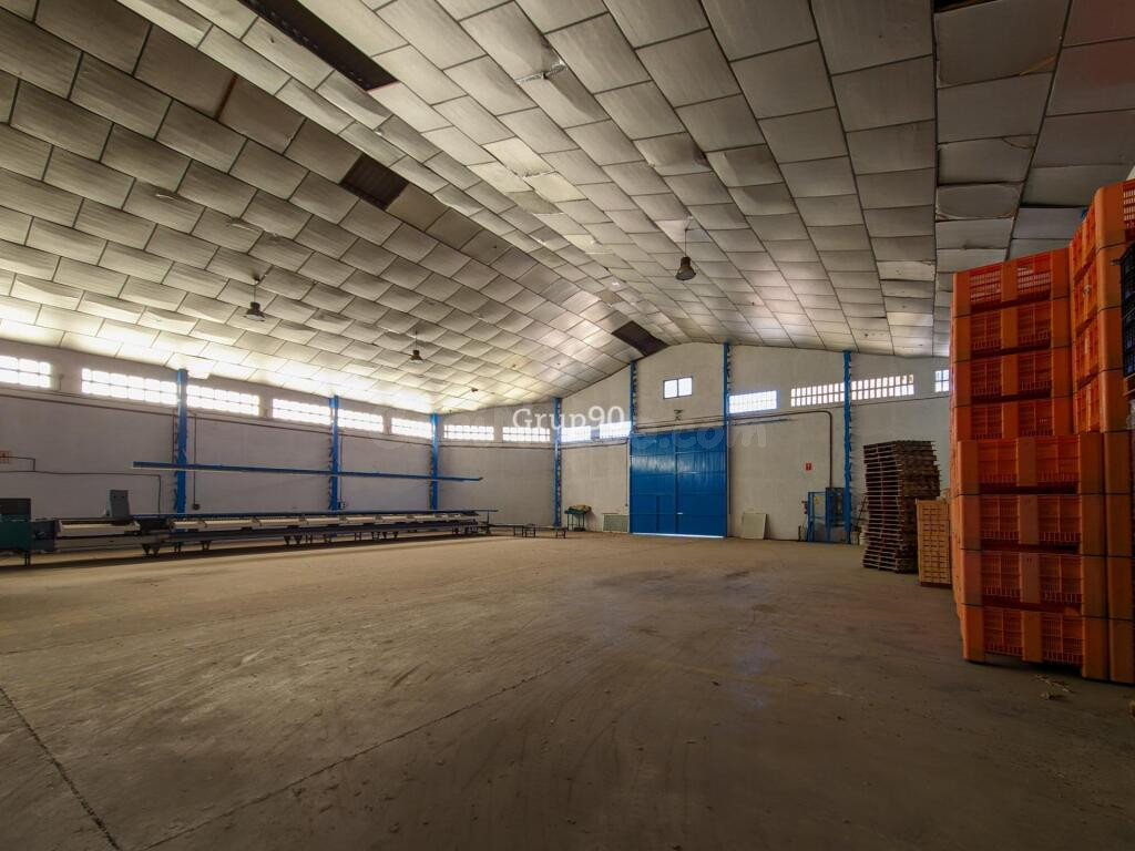 NAVE INDUSTRIAL Y TERRENOS FRUTALES EN AITONA
