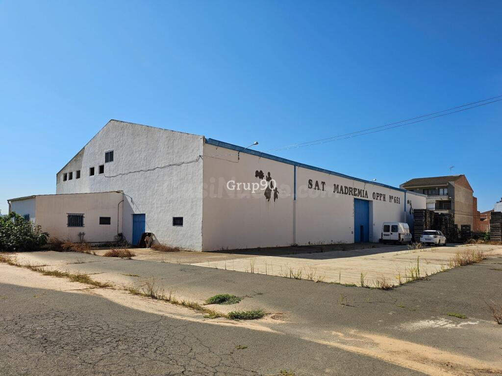 NAVE INDUSTRIAL Y TERRENOS FRUTALES EN AITONA - foto 2