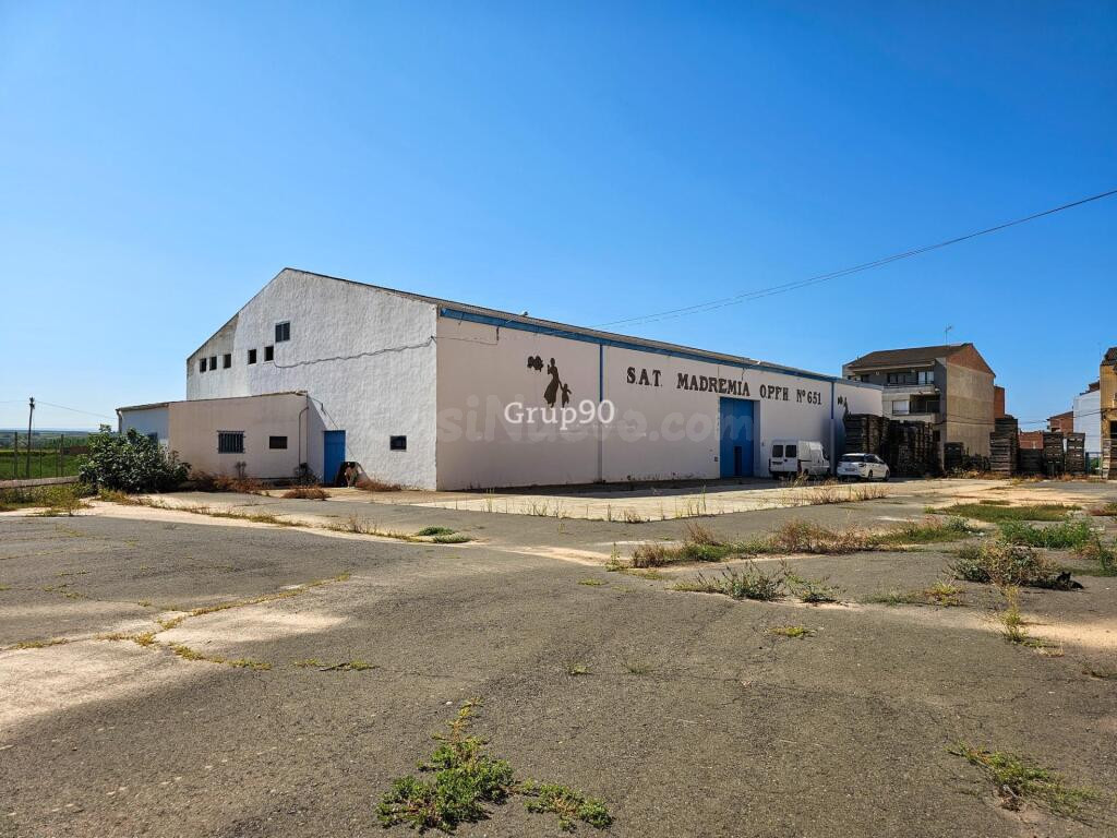 NAVE INDUSTRIAL Y TERRENOS FRUTALES EN AITONA - foto 4