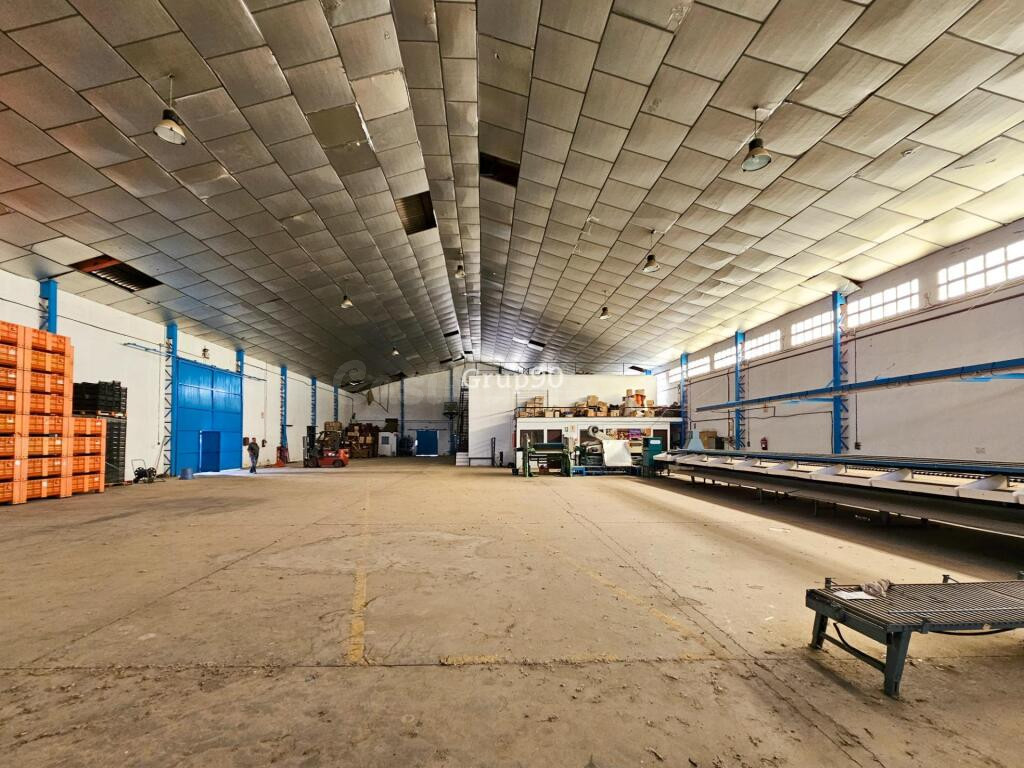 NAVE INDUSTRIAL Y TERRENOS FRUTALES EN AITONA - foto 8