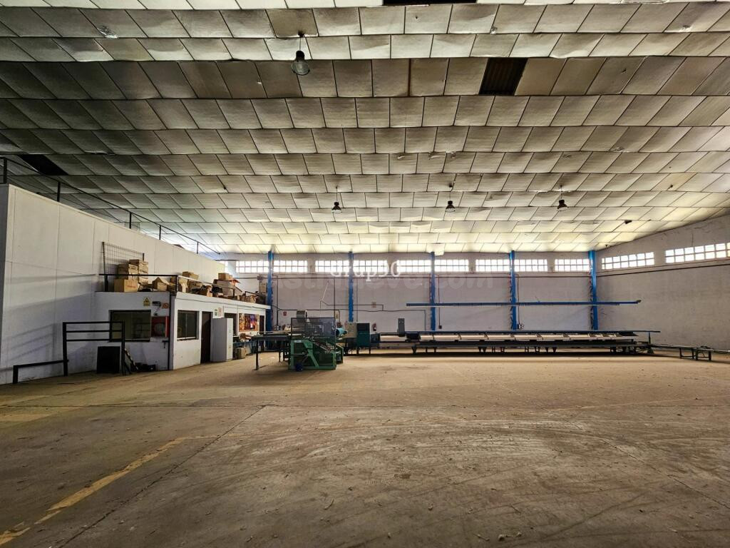 NAVE INDUSTRIAL Y TERRENOS FRUTALES EN AITONA - foto 9