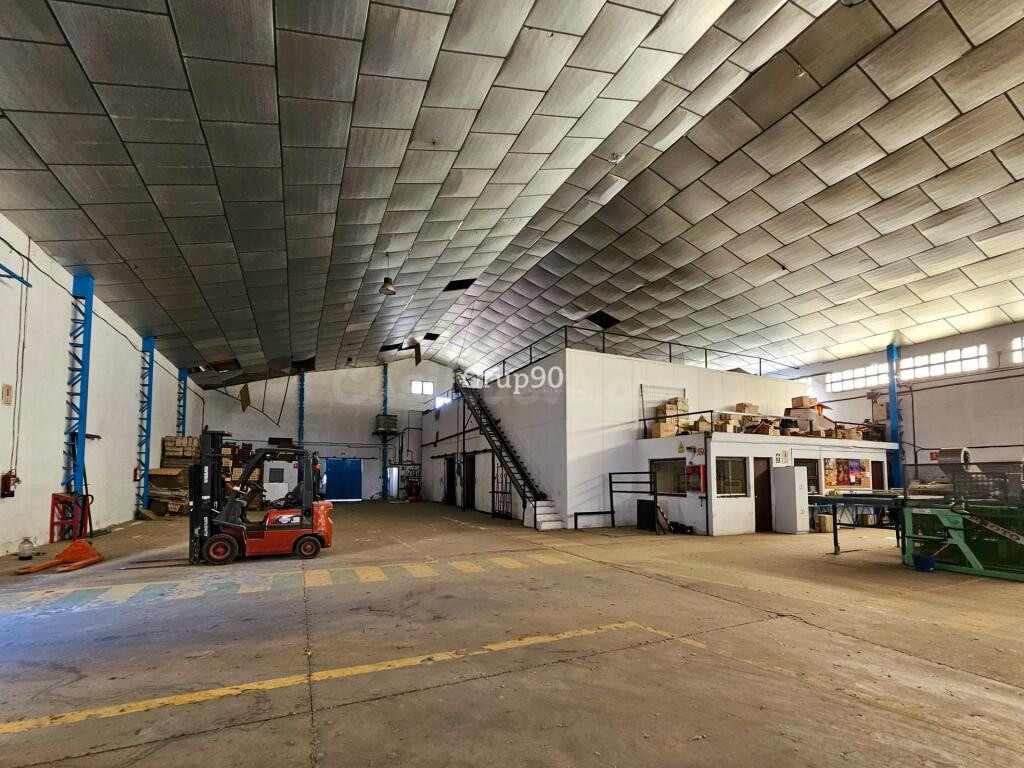 NAVE INDUSTRIAL Y TERRENOS FRUTALES EN AITONA - foto 10